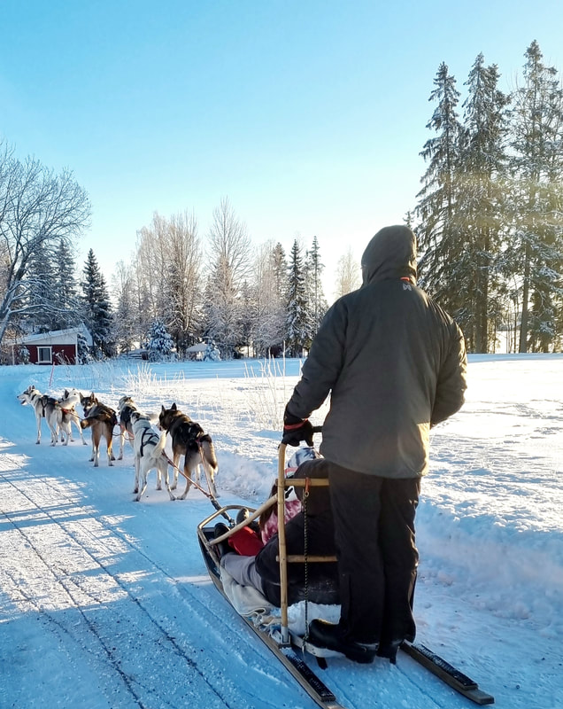 Helsinki sledding huskies safari